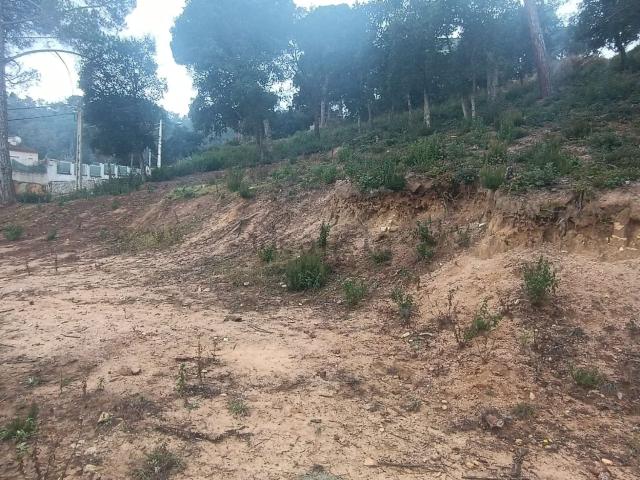 Terreno, Tordera