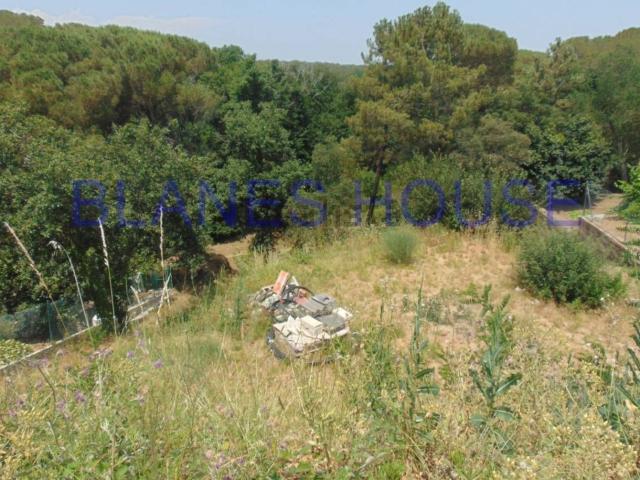 Terreno, Tordera