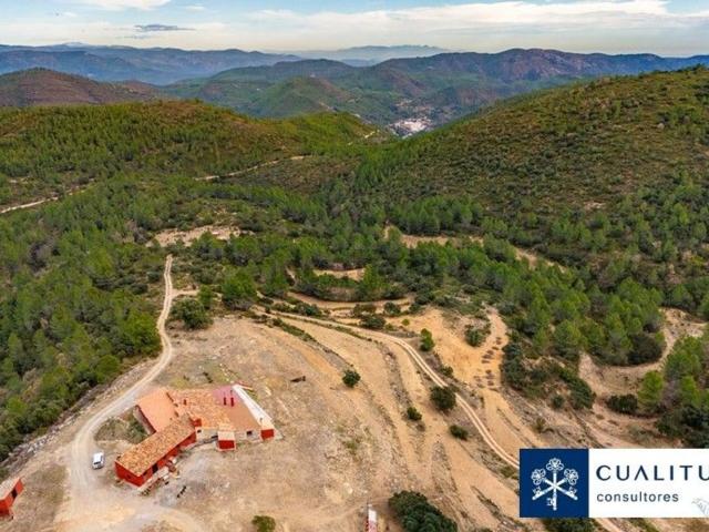 Terreno, Torralba del Pinar