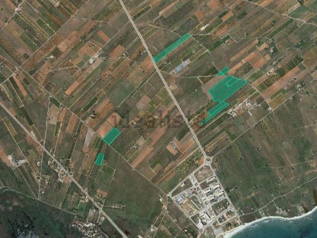 Terreno, Torreblanca