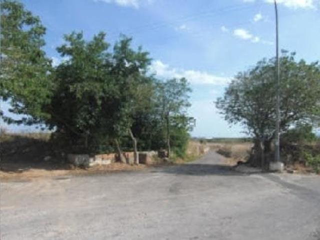 Terreno, Torreblanca