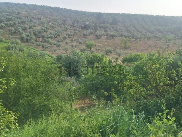 Terreno, Torredonjimeno