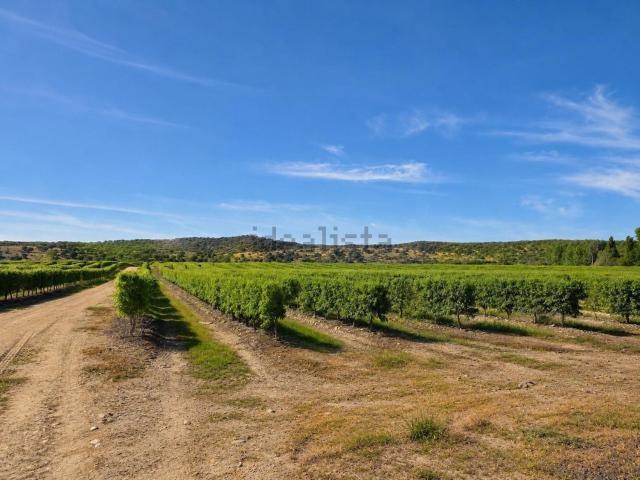 Terreno, Torrejoncillo