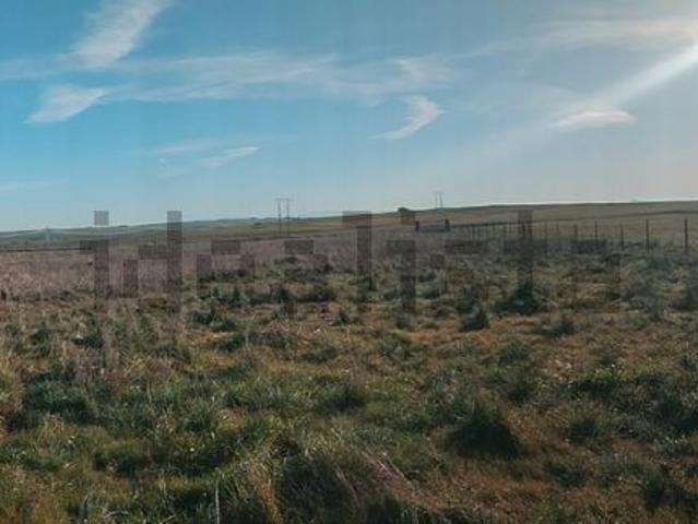 Terreno, Torreorgaz