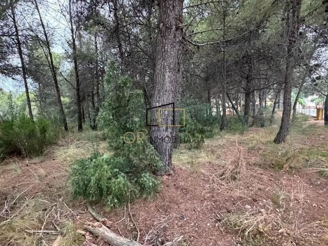 Terreno, Torrelles de Foix