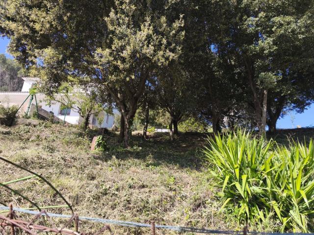 Terreno, Torrelles de Llobregat