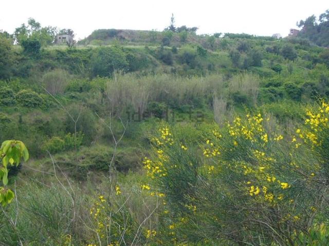 Terreno, Torrelles de Llobregat