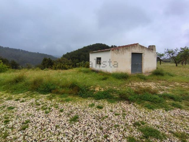 Terreno, Torremanzanas
