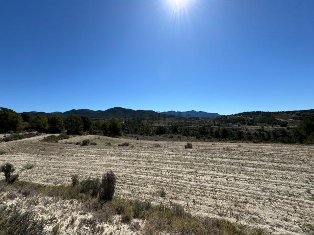 Terreno, Torremanzanas