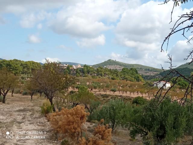 Terreno, Torremanzanas