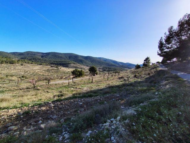 Terreno, Torremanzanas