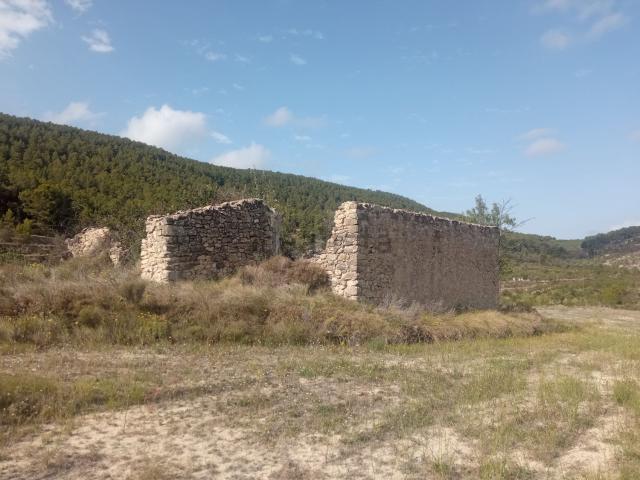 Terreno, Torremanzanas