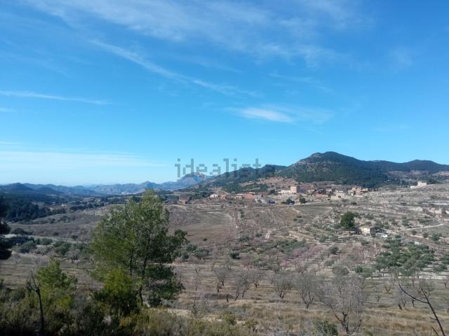 Terreno, Torremanzanas