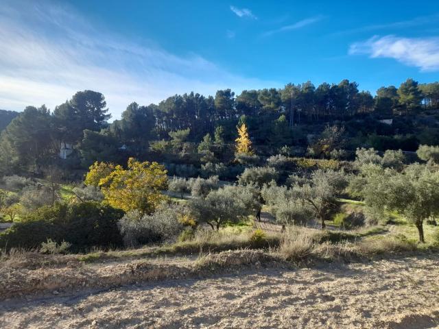 Terreno, Torremanzanas