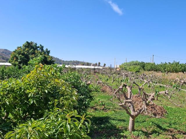 Terreno, Torrenueva Costa