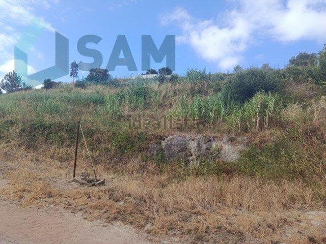 Terreno, Torres Vedras e Matacães