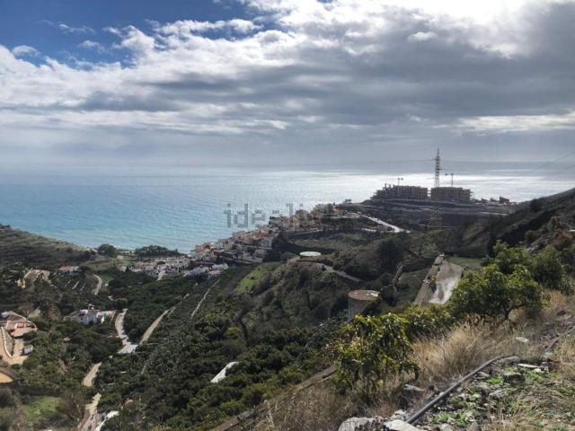 Terreno, Torrox