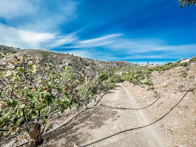 Terreno, Torrox