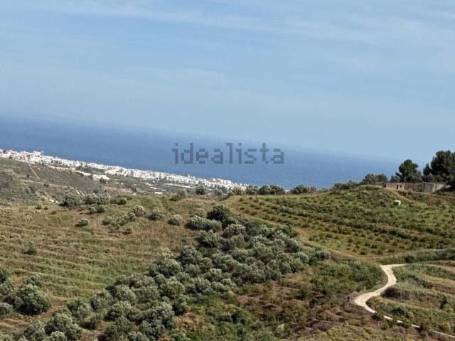 Terreno, Torrox
