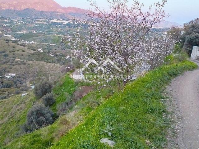 Terreno, Torrox