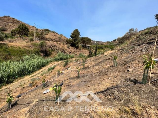 Terreno, Torrox