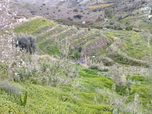 Terreno, Torrox
