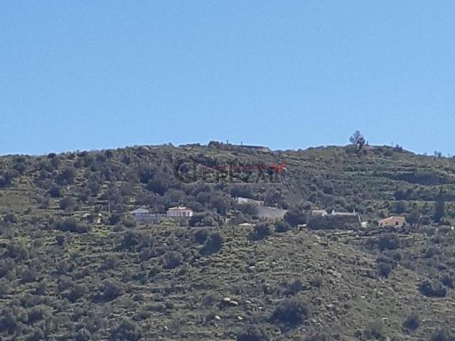 Terreno, Torrox