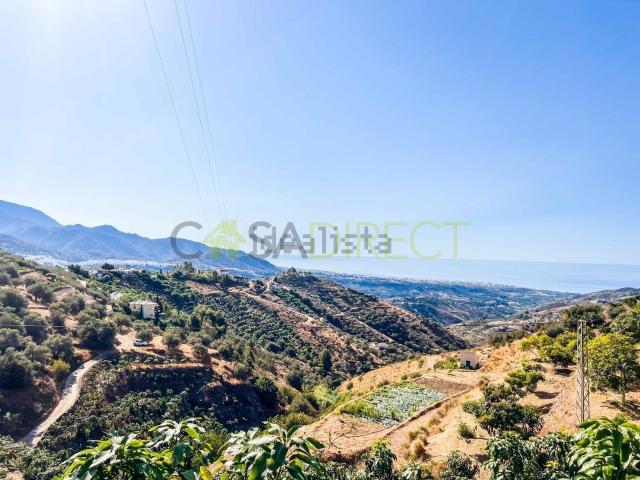 Terreno, Torrox