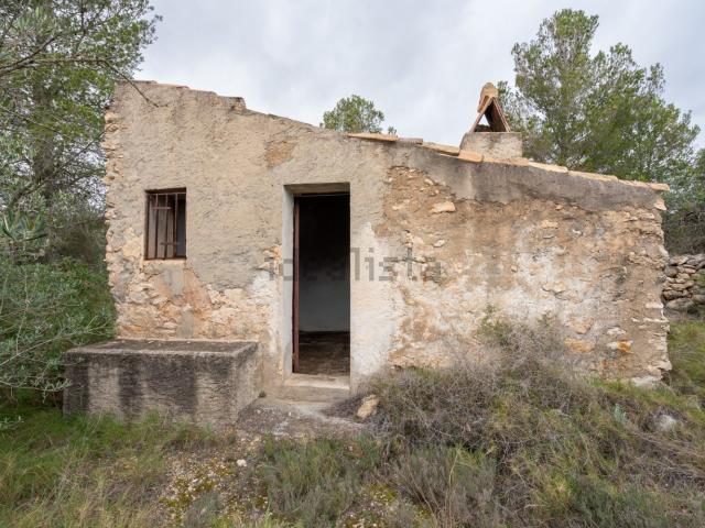 Terreno, Tortosa