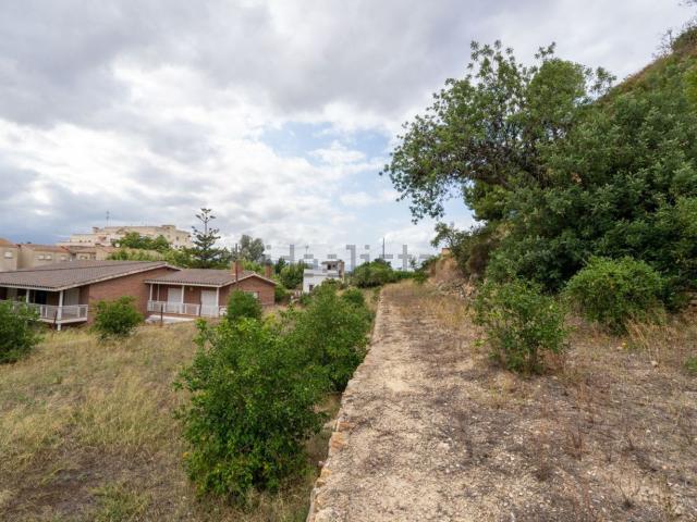 Terreno, Tortosa