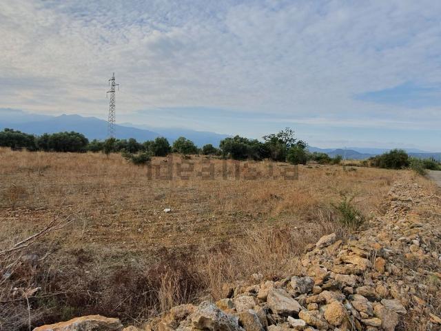 Terreno, Tortosa