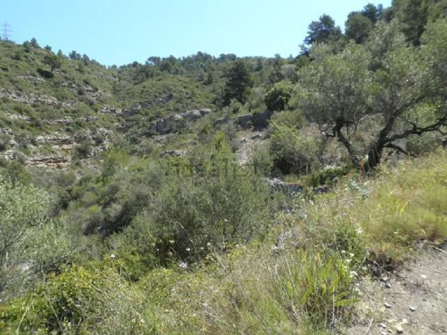Terreno, Tortosa