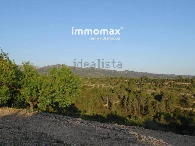 Terreno, Tortosa