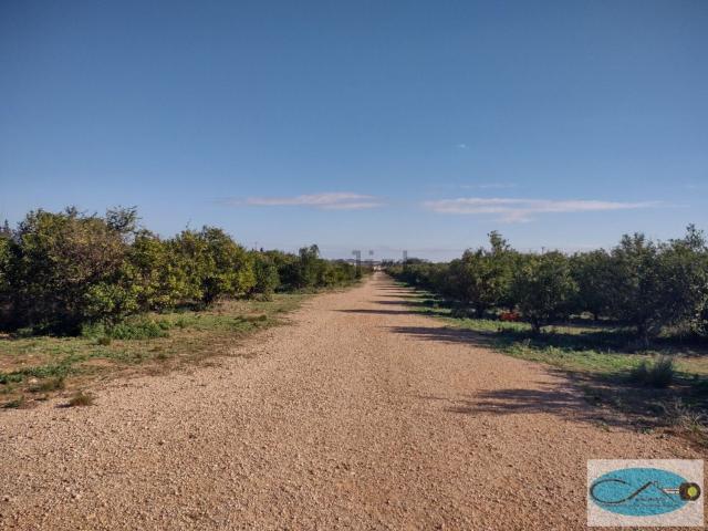 Terreno, Tortosa