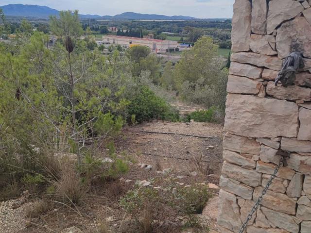Terreno, Tortosa