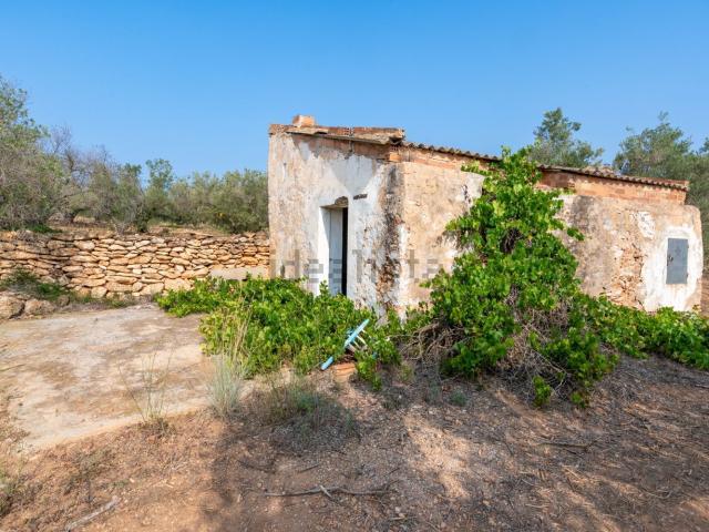 Terreno, Tortosa
