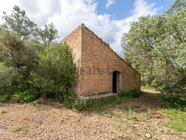 Terreno, Tortosa