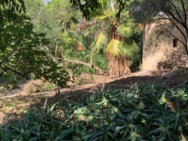 Terreno, Tortosa