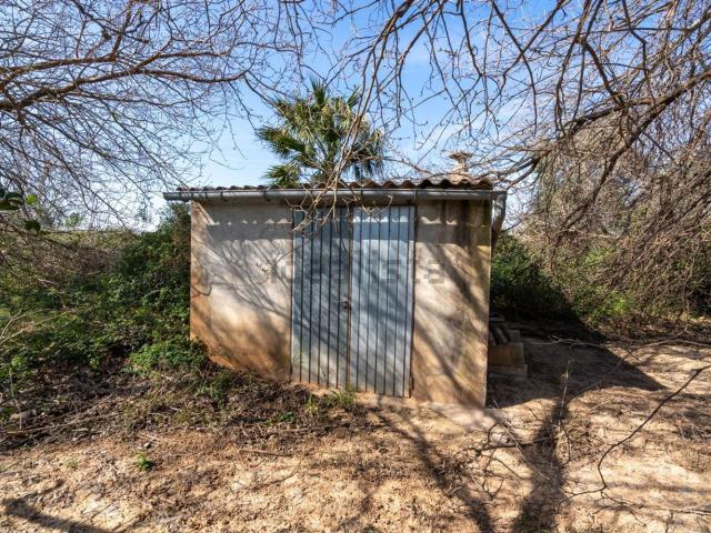 Terreno, Tortosa