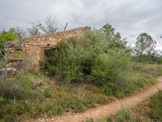 Terreno, Tortosa
