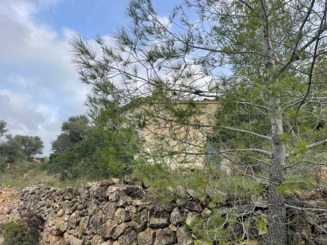 Terreno, Tortosa
