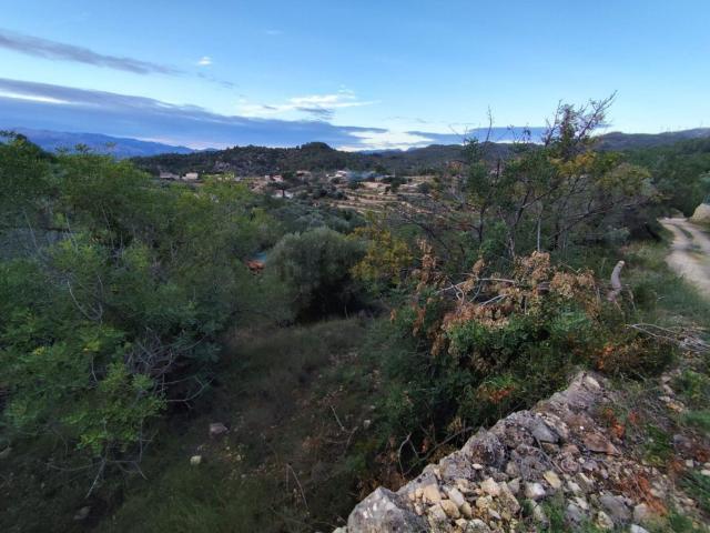 Terreno, Tortosa
