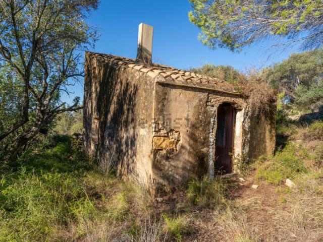 Terreno, Tortosa