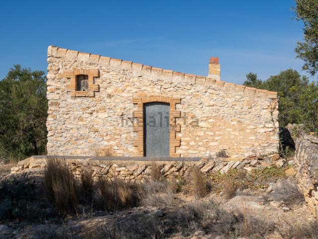 Terreno, Tortosa
