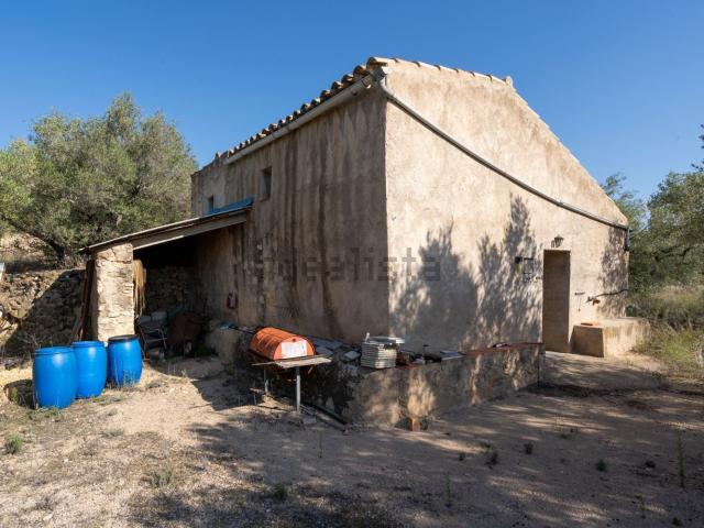 Terreno, Tortosa