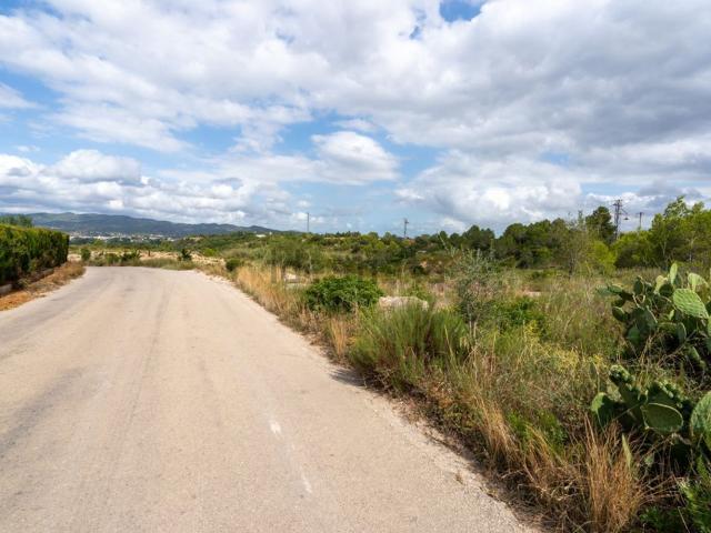 Terreno, Tortosa
