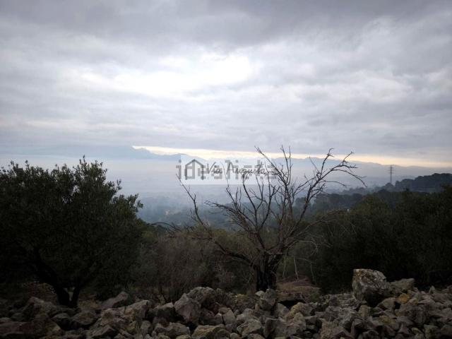 Terreno, Tortosa