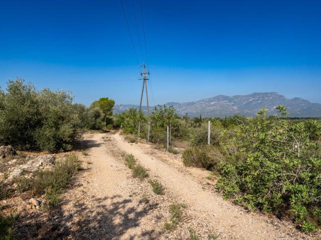 Terreno, Tortosa