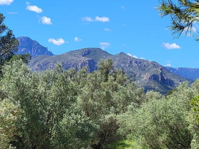 Terreno, Tortosa