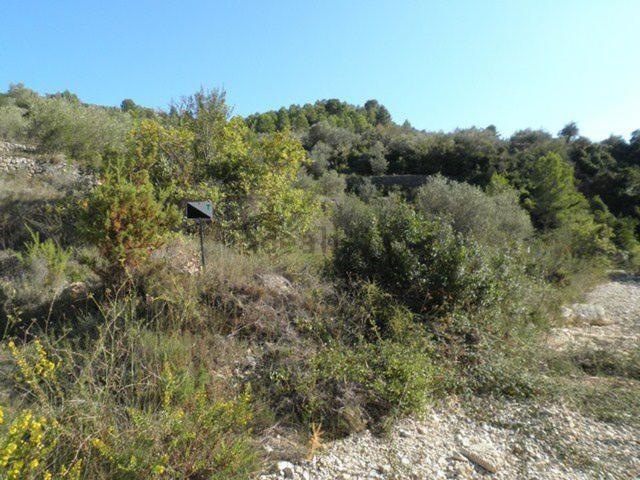Terreno, Tortosa